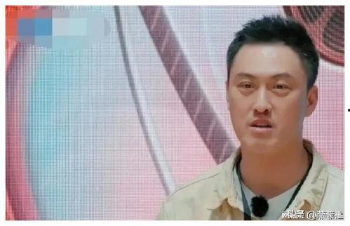 娱乐圈吃瓜爆料郑凯是谁,娱乐圈吃瓜爆料中的焦点人物